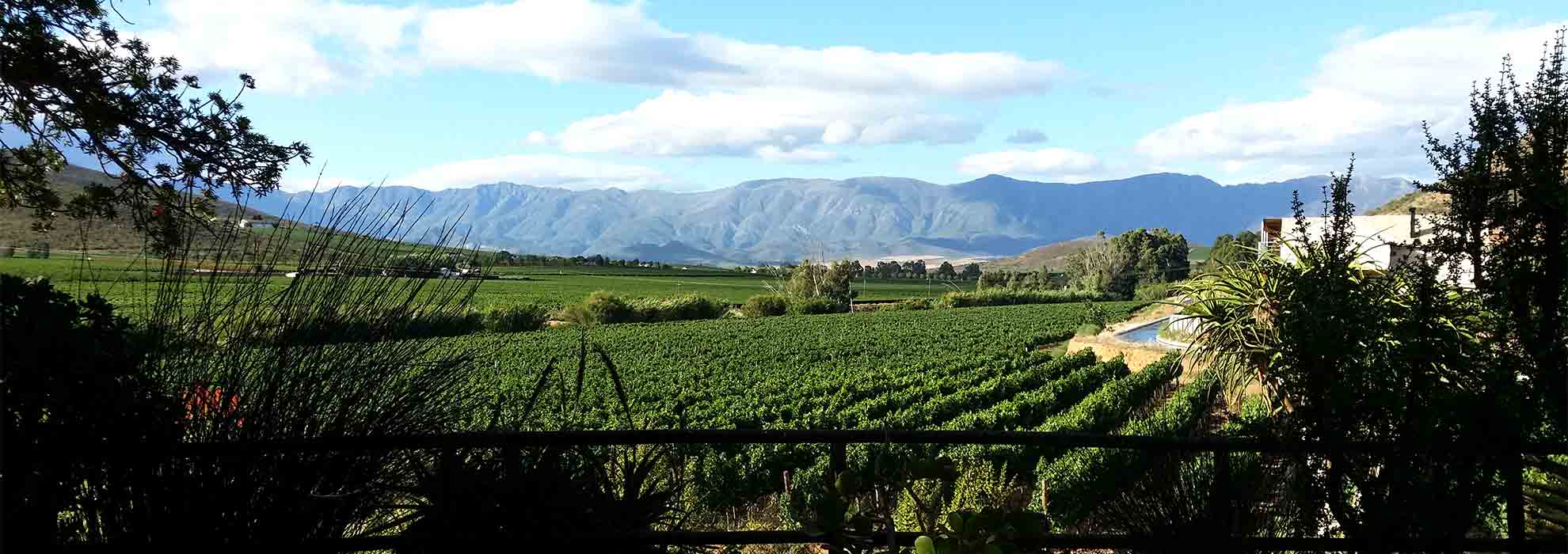 Esona Boutique Wine Estate South Africa Views Robertson